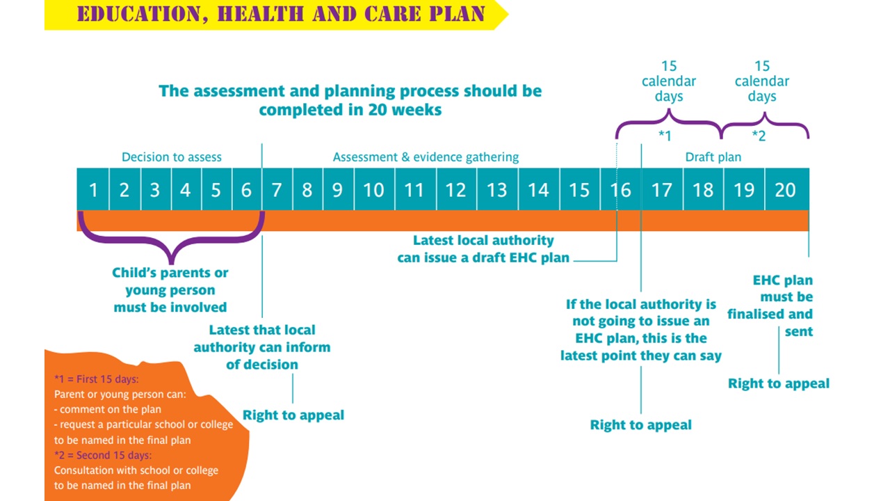 EHCP timeline chart